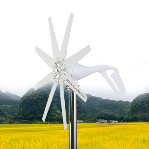 HUIZHITENGDA 12v,12V 24V 48V Kleine Windmühle Kostenlose Energie Windgenerator für 110V oder 220V Haushalt, Landwirtschaft, Boot Nutzung mit Controller (12000W, 8 Blätter) von HUIZHITENGDA