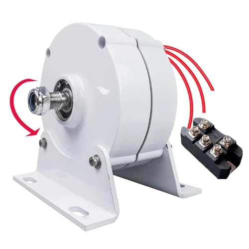 HUIZHITENGDA 48v,10000W Tragbare Windturbine Turbine Windkraftkit 12V 24V 220V Kostenlose Energie Windkraft Windmühle Camping Haushaltsgerät mit MPPT-Ladegerät HUIZHITENGDA 48v,10000W Tragbare Windturbine Turbine Windkraftkit 12V 24V 220V Kostenlose Energie Windkraft Windmühle Camping Haushaltsgerät mit MPPT-Ladegerät von HUIZHITENGDA