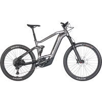 Haibike AllMtn 5 29''/27,5'' 750 Wh silber 2023/2024 von Haibike