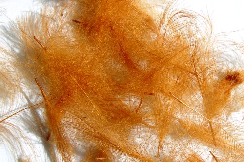 Pechetruite 1g - CDC (Cul de Canard) Federn - Zimt/Cinnamon - Für Fliegenbinden von Hareline Dubbin