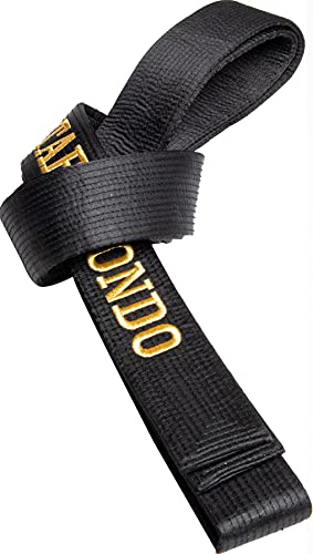 Hayashi Budogürtel in Glanzoptik mit Box (mit Bestickung) „Taekwondo“ - schwarz, Gr. 330 cm von Hayashi