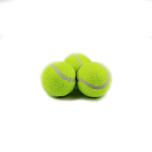 HENBRANDT HB Sports Tennisbälle, 3 Stück von Henbrandt