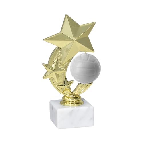 Henecka Volleyball-Pokal, Komplettfigur Volleyball, Gold, mit Wunschgravur, Größe 16,2 cm von Henecka