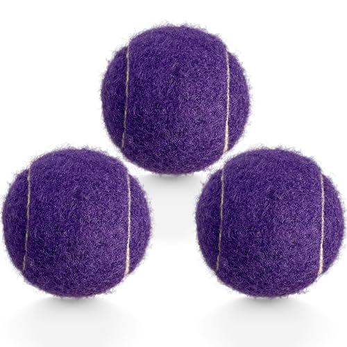 HiBallBall Tennisbälle, 3 Stück, Übungs-Tennisbälle für Anfänger, langlebige Trainings-Tennisbälle für Hunde (lila) von HiBallBall