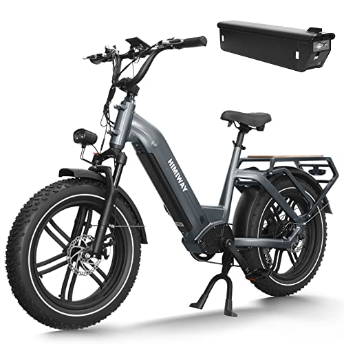 Himiway Big Dog Elektrisches Lastenfahrrad mit 250W Motor und 86 NM Drehmoment, 20 Zoll E Bike mit 48V 20AH 960 WH Akku, Elektrofahrrad für Pendeln und Bergfahren mit Hydraulischen Scheibenbremsen von Himiway