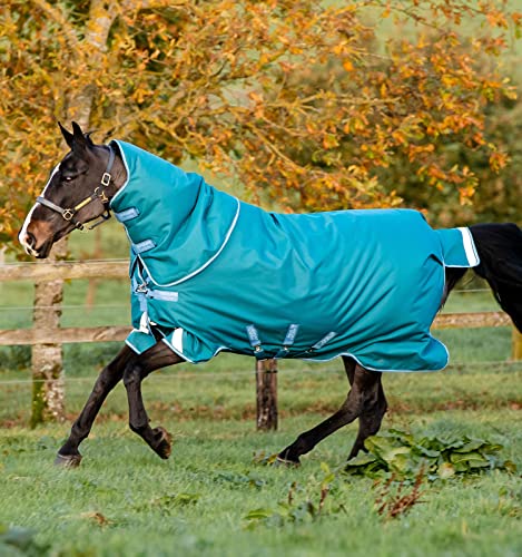 Horseware Amigo Bravo 12 Plus Regendecke Heavy 400g Storm Green/Turquoise, Aqua & Blue mit Halsteil, Größe:7'3 von Horseware