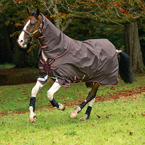 Horseware Amigo Bravo12T/OLite DiscFrn Turnout Decke wasserdicht Braun/Rot,Gold&Rot HW 20, Größe:5'9 von AMIGO