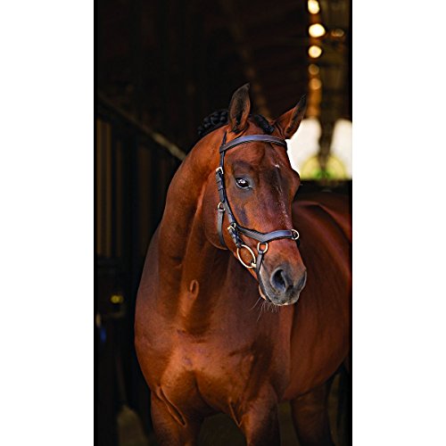 Horseware Rambo New Micklem Multi Proffesional black (Standard Horse) von Horseware