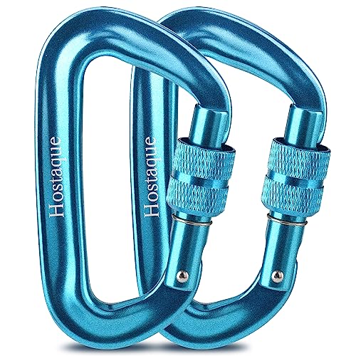 Karabiner Karabinerhaken mit Schraubverschluss, 1200kg/12KN Schwerlast Schlüsselanhänger Schraubkarabiner Schwarz, für Camping, Angeln, Wandern, Hängematte oder Reisen (Blue) von Hostaque