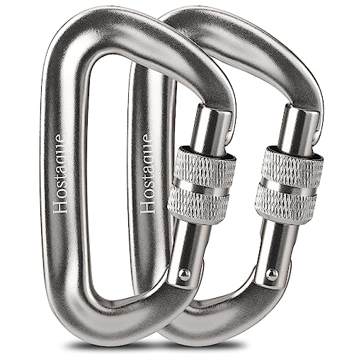 Karabiner Karabinerhaken mit Schraubverschluss, 1200kg/12KN Schwerlast Schlüsselanhänger Schraubkarabiner Schwarz, für Camping, Angeln, Wandern, Hängematte oder Reisen (Silver) von Hostaque