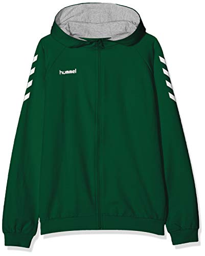 Hummel Unisex Kinder Hmlgo Kids Cotton Zip Hoodie Kapuzenjacke, Grün (Evergreen), 164 von hummel