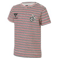 hummel 1. FC Köln gestreiftes Baby T-Shirt white asparagus stripe 62 von Hummel