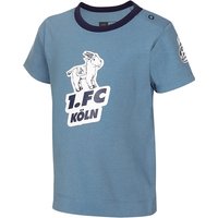 hummel 1. FC Köln T-Shirt 2023/24 Babys 7081 - bluestone 92 von Hummel