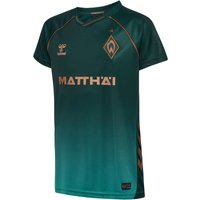 hummel SV Werder Bremen Ausweichtrikot 2025/26 Kinder 6108 - scarab 128 von Hummel