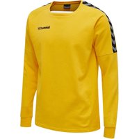 hummel Authentic Training Sweatshirt Herren sports yellow L von Hummel