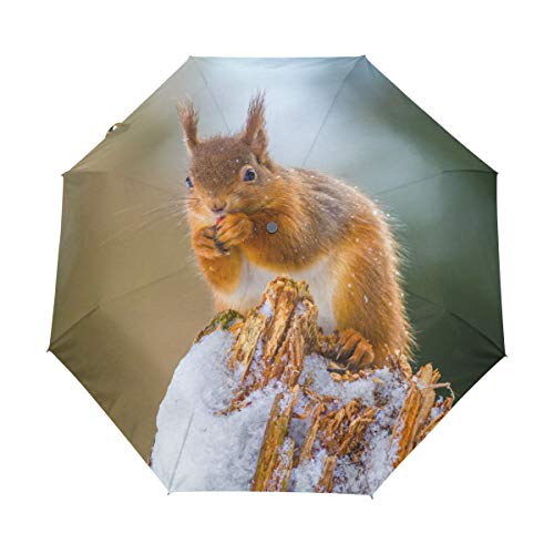 Hunihuni Regenschirm mit Tiermotiv und süßem Eichhörnchen, automatisch, faltbar, winddicht, wasserdicht, UV-Schutz, Sonnenschutz von Hunihuni