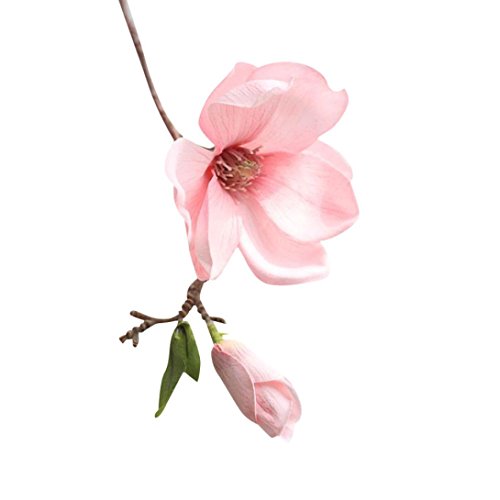 Hunpta Eine künstliche Kunstblumen Blatt Magnolia Blumen Hochzeit Bouquet Party Home Decor (D) von Hunpta