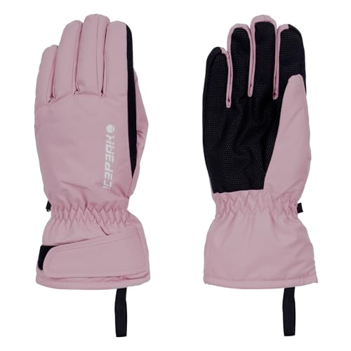 ICEPEAK Damen Skihandschuhe Winterhandschuhe Handschuhe Alpine Gloves Hayden, Farbe:Rosa, Artikel:722 Lavender, Größe:L von ICEPEAK