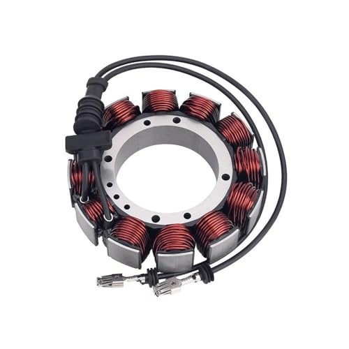 INSOGZRAF Universal Motorrad Motor Zündung Stator Spule for Mit Den Meisten Modelle von INSOGZRAF