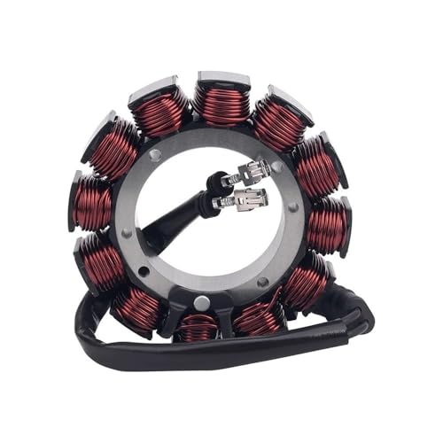 INSOGZRAF Universal Motorrad Motor Zündung Stator Spule for Mit Den Meisten Modelle von INSOGZRAF