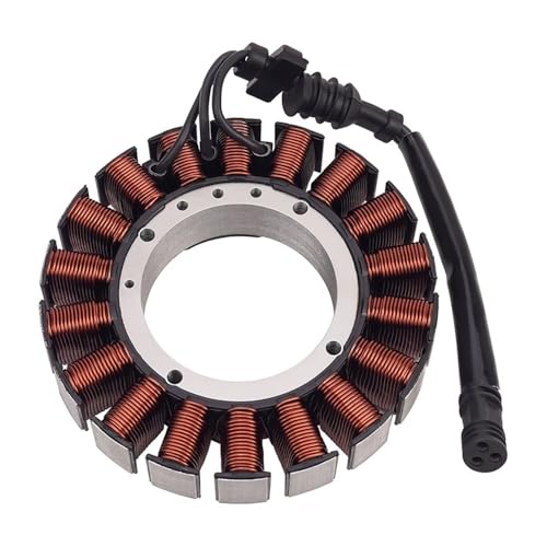 INSOGZRAF Universal Motorrad Motor Zündung Stator Spule for Mit Die Meisten Modelle von INSOGZRAF