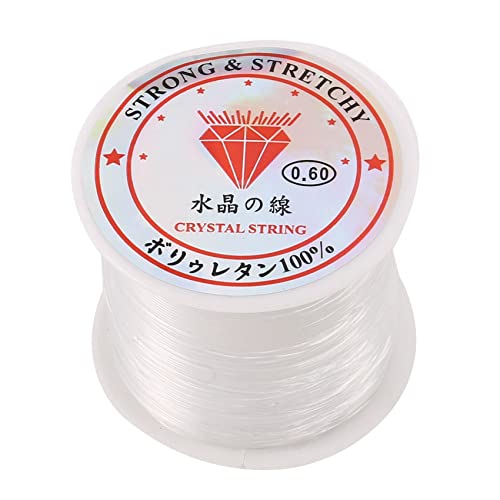 INTCHE 53Lbs 0.6mm Durchsichtig Klar Nylon Angeln Schnur Angelschnur Zielfischschnur von INTCHE