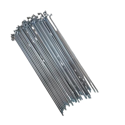 IZHAOGJING 12G Durchmesser 2,5 mm, elektrische Passform für Fahrradspeichen, Länge 170–305 mm, Stahl, 40 Stück mit Nippeln (265 mm) von IZHAOGJING
