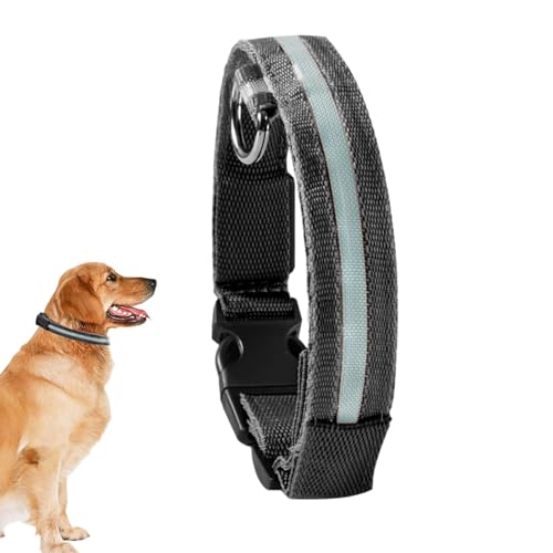 Ibuloule LED-Halsband,Leuchtende Hundehalsbänder | Wiederaufladbares, blinkendes LED-Sicherheitshalsband für mittelgroße und kleine Haustiere und Hunde von Ibuloule
