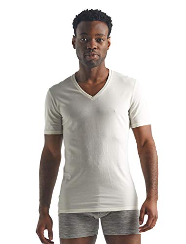 Icebreaker Merinowolle Herren Unterwäsche - Anatomica T-Shirt mit V-Ausschnitt | Merino Shirt | Wandershirt | Merino Shirt | Merino Unterhemd | Merino Tshirt - Snow, XL von Icebreaker