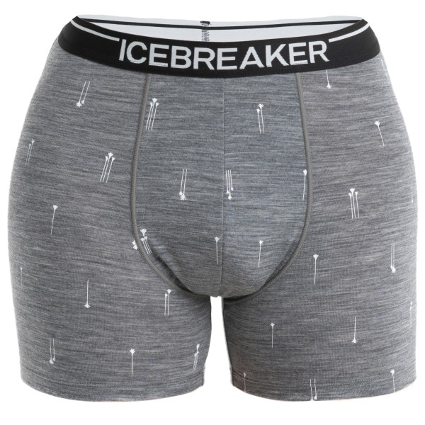 Icebreaker - Merino Anatomica Boxers Palm Trail AOP - Merinounterwäsche Gr S grau von Icebreaker