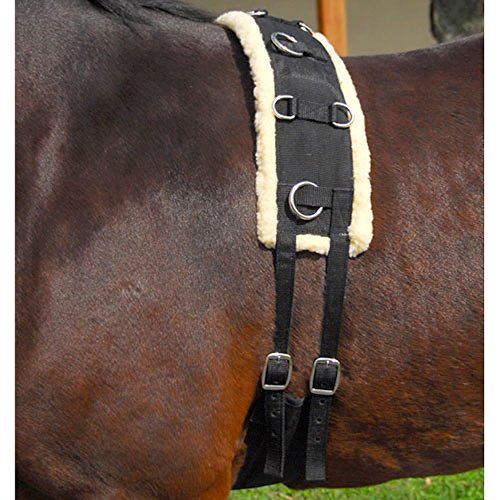 Intrepid International Nylon-Fleece Training Pferd Deckengurt von Intrepid International