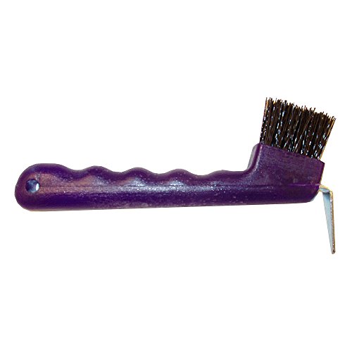Plastic Hoof Pick Brush Combo Purple von Intrepid International
