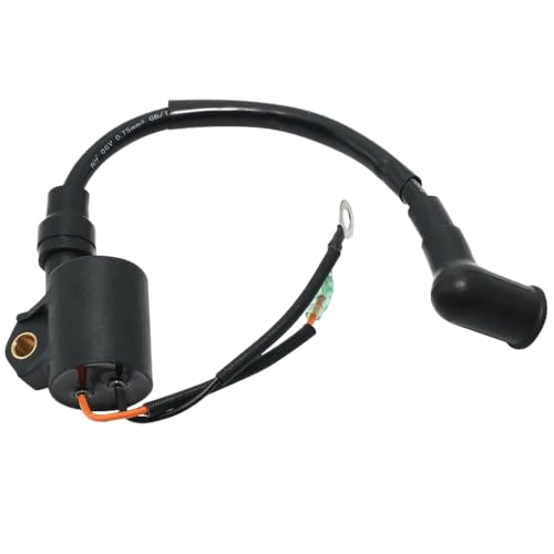 JCxYGAP Außenbordmotor-Zündspule kompatibel mit 2 PS 2 MSH 1995-2002 2C 2B 2 PS MHS Fits OEM Teilenummer 6A1-85570-00 von JCxYGAP