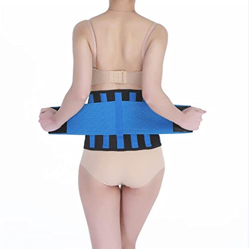 JINMUXUAN Rückenkorrektor, arbeitender Taillen-Rückenstützgürtel, Band, Lendenwirbelsäulenstütze, Haltungskorrekturgürtel, Korsett, Gesundheit und Entspannung (Farbe: Blau, Größe: L) Beauty Comes von JINMUXUAN