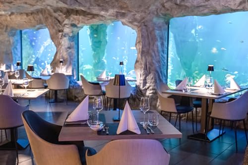 JOCHEN SCHWEIZER Geschenkgutschein: Gourmet-Menü im Unterwasser-Restaurant in Neuwied für 2 von JOCHEN SCHWEIZER