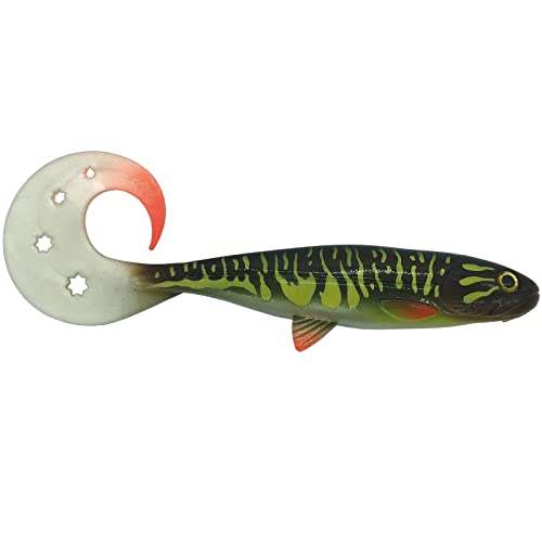 Jackson The Active Flanker. 20cm 2St. Test SEHT GUT. Farbe Hot Pike. Gummifisch Hechtangeln. Angelköder Shad. Gummi Hechtköder. Raubfische Angeln Profi Kunstköder von Jackson