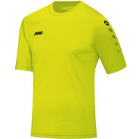 JAKO Herren Trikot Team KA von Jako