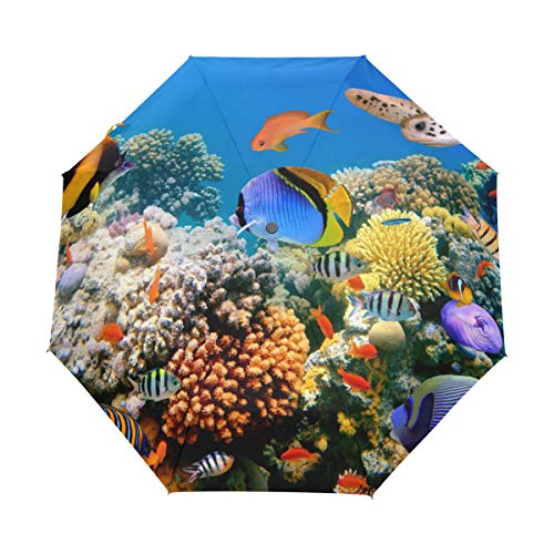 Jeansame Ocean Sea Unterwasser-Tierwelt Fisch Schildkröte Faltbarer kompakter Regenschirm Automatische Sonne Regen Regenschirm für Damen Herren Kinder Jungen Mädchen von Jeansame