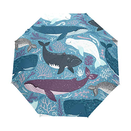 Jeansame Regenschirm mit Delfin-Wal-Motiv, faltbar, kompakt, für Damen, Herren, Jungen, Mädchen von Jeansame