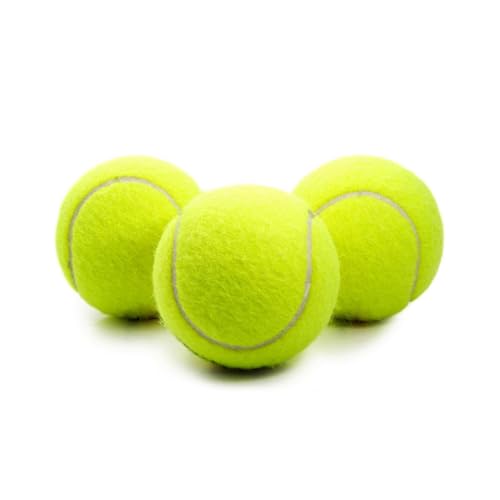 Jizboc Drucktraining-Tennisbälle, Übungs-Tennisbälle, Filzbälle, 3 Stück pro Dose von Jizboc