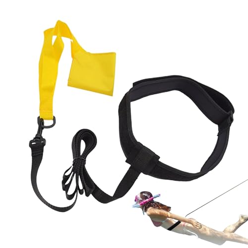 Jomewory Swim Tether – Fallschirmschirm mit verstellbarem Bund für Krafttraining | Schwimmtrainer für oberirdische Pools von Jomewory