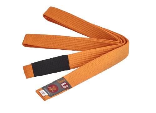 Ju-Sports BJJ Kindergürtel - orange, Baumwolle 4cm breit I BJJ Gürtel mit schwarzem Abschnitt für Zwischenstufen I Mehrfach gesteppt I 220 cm von Ju-Sports
