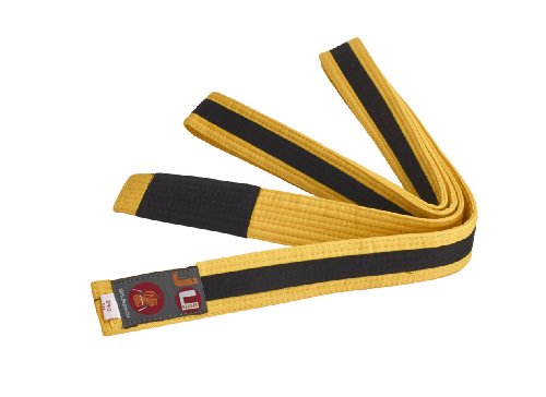 Ju-Sports BJJ Kindergürtel - gelb mit schwarzem Streifen, Baumwolle 4cm breit I BJJ Gürtel mit schwarzem Abschnitt für Zwischenstufen I Mehrfach gesteppt I 220 cm von Ju-Sports