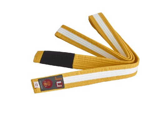 Ju-Sports BJJ Kindergürtel - gelb mit weißem Streifen, Baumwolle 4cm breit I BJJ Gürtel mit schwarzem Abschnitt für Zwischenstufen I Mehrfach gesteppt I 220 cm von Ju-Sports