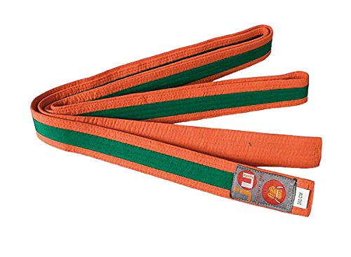 Ju-Sports Budogürtel - orange/grün/orange, Baumwolle I Kampfsport Gürtel Für Budo-Sportarten, Judo, Karate uvm. I Ca. 4 cm breiter Martial Arts Gürtel I 350 cm von Ju-Sports