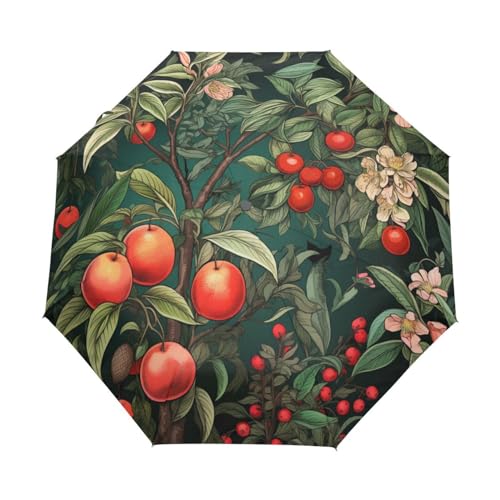 Obstmuster-Kunstwerk Regenschirm Automatik Auf-Zu Taschenschirm Umbrella Kompakt Schirme für Jungen Mädchen Strand Frauen von KAAVIYO