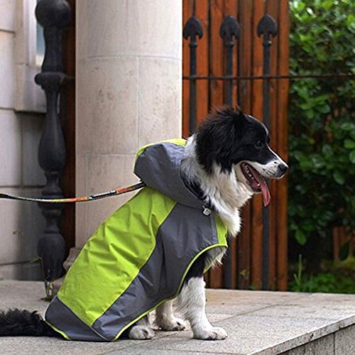 KKXXYQFC Hunde-Regenmantel, Haustier, 3-lagiges Design, Kapuzen-Regenjacke, Welpen-Overall, Regenponcho mit Hut (grün, M) von KKXXYQFC
