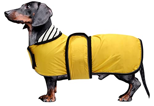 KKXXYQFC Hunde-Regenmantel, Hunde-Regenbekleidung mit Kapuze, verstellbare Jacke, Welpen-Overall, Regenponcho mit reflektierendem Streifen (Gelb, Größe S (Rückseite: 30)) von KKXXYQFC