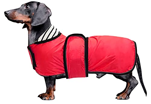 KKXXYQFC Hunde-Regenmantel, Hunde-Regenbekleidung mit Kapuze, verstellbare Jacke, Welpen-Overall, Regenponcho mit reflektierendem Streifen (rot, groß (Rückseite: 44)) von KKXXYQFC