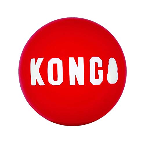 KONG Signature Balls Large - Dog Toy von KONG